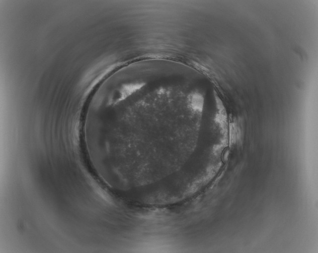 X0000113880243200910151319