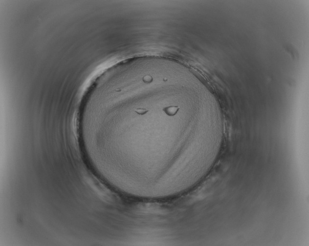 X0000113880244200910151319