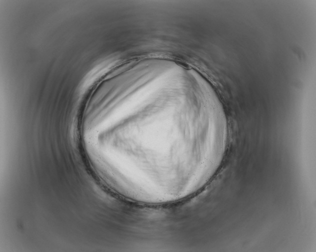 X0000113880245200910151319