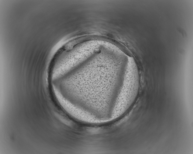 X0000113880246200910151319