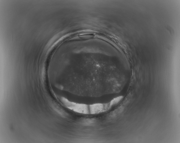 X0000113880247200910151319