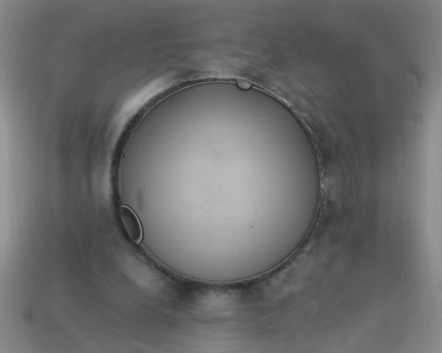 X0000113880248200910151319