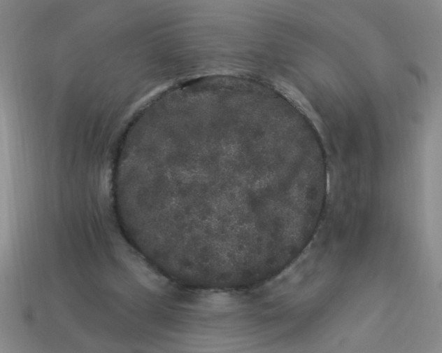 X0000113880249200910151319