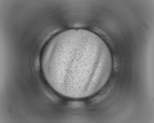 X0000113880251200910151319