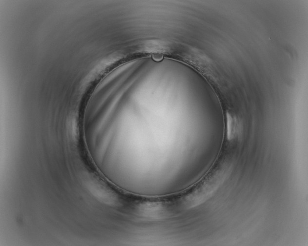 X0000113880252200910151319