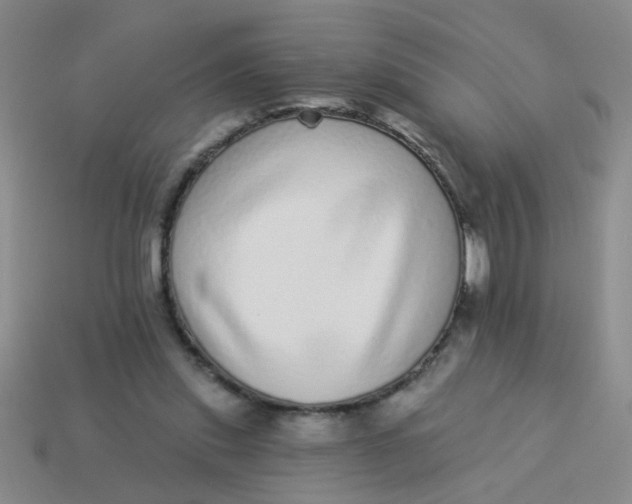 X0000113880253200910151319