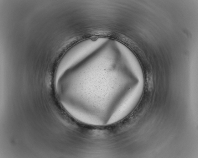 X0000113880255200910151319