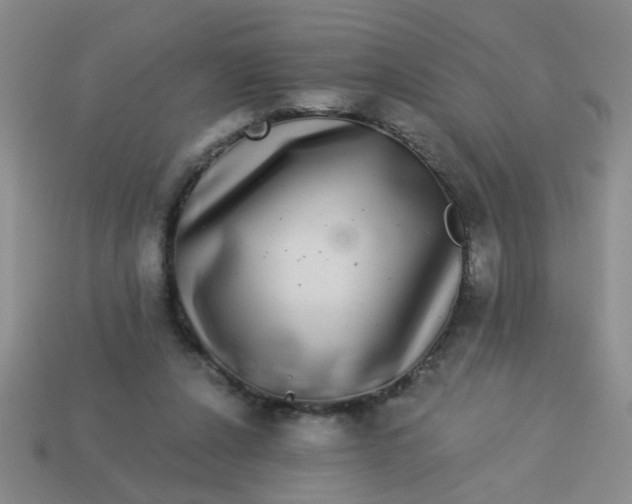 X0000113880256200910151319