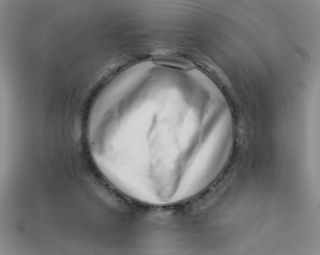 X0000113880257200910151319