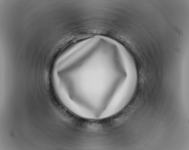 X0000113880258200910151319