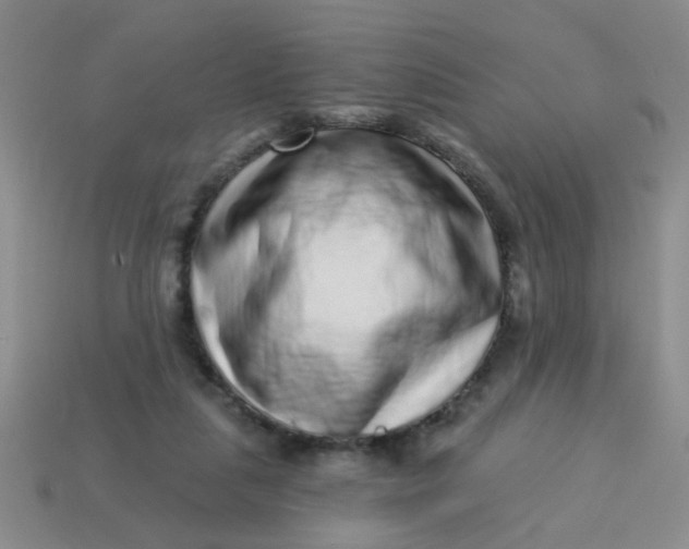 X0000113880259200910151319