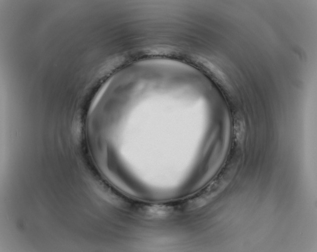 X0000113880261200910151319