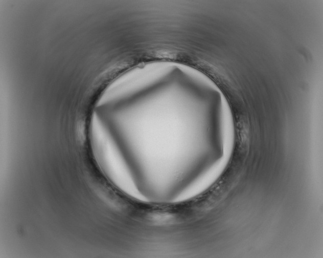 X0000113880262200910151319