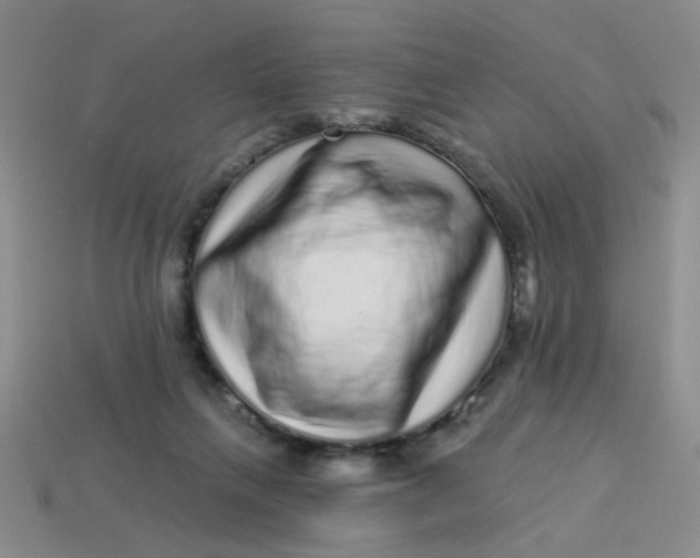 X0000113880263200910151319