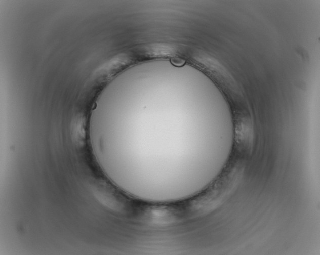 X0000113880264200910151319