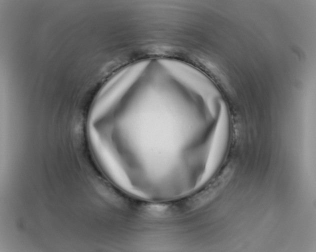 X0000113880265200910151319