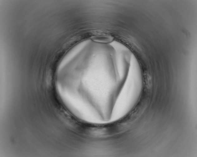 X0000113880266200910151319