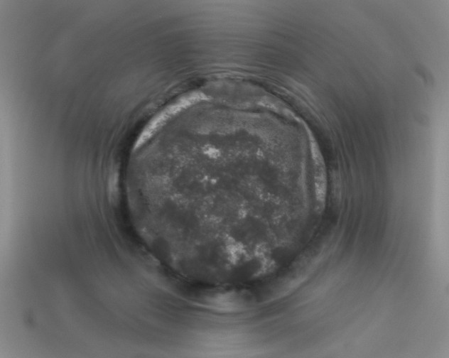 X0000113880267200910151319