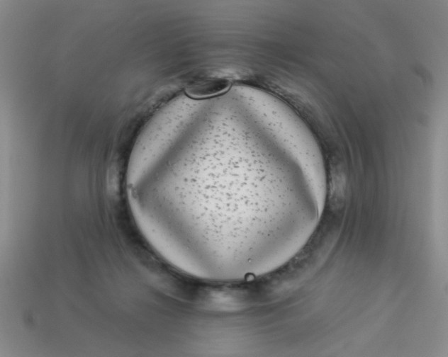 X0000113880268200910151319