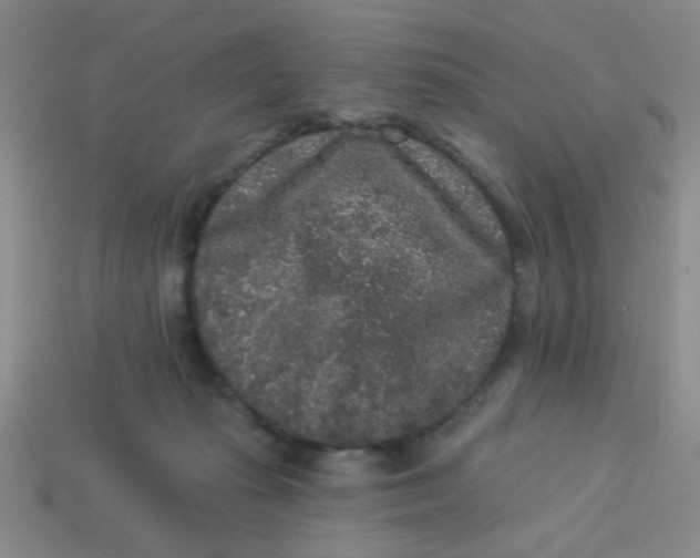 X0000113880269200910151319