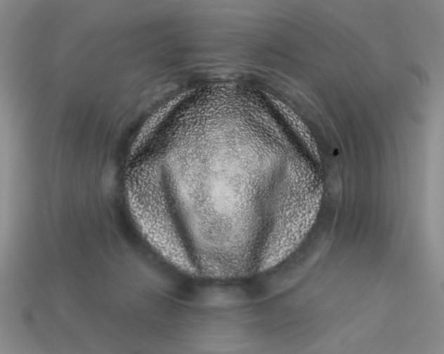 X0000113880270200910151319