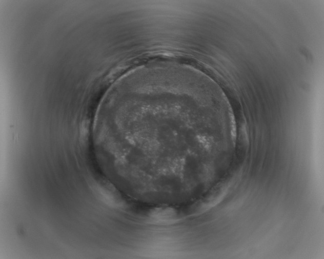 X0000113880271200910151319