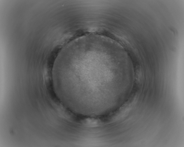 X0000113880272200910151319