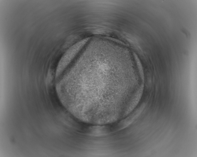 X0000113880273200910151319