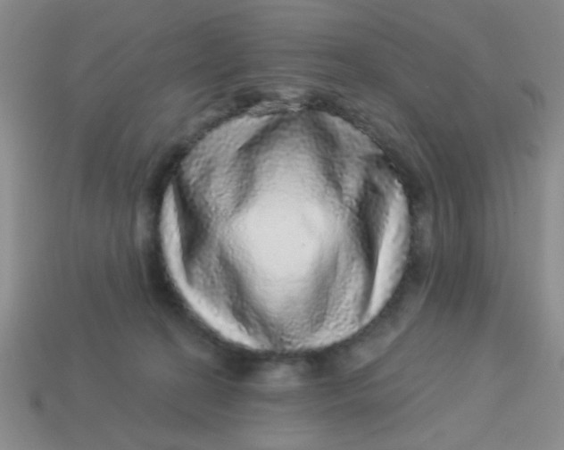 X0000113880274200910151319