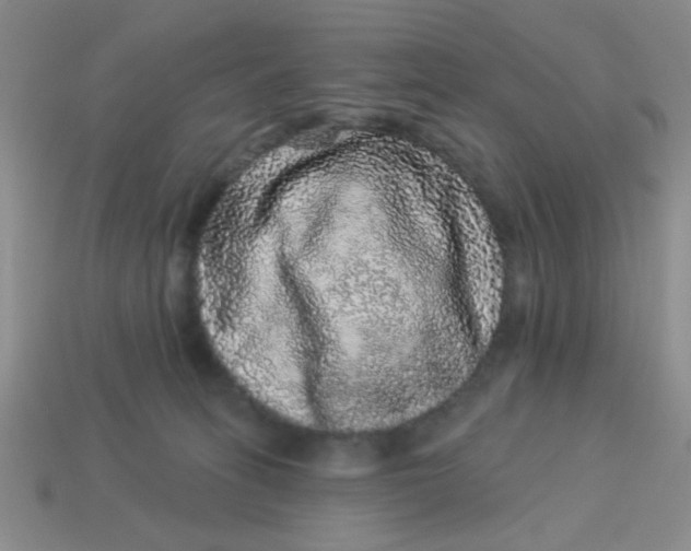 X0000113880275200910151319