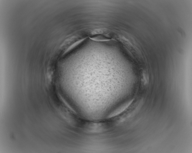 X0000113880276200910151319