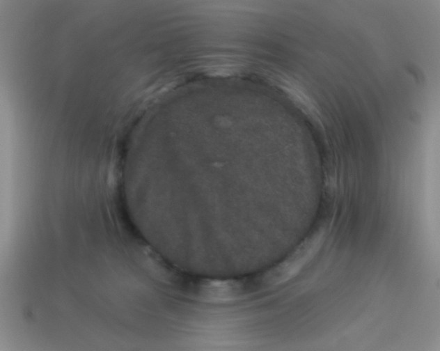 X0000113880277200910151319