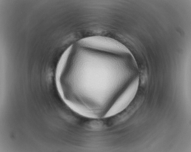 X0000113880279200910151319