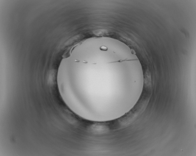 X0000113880280200910151319