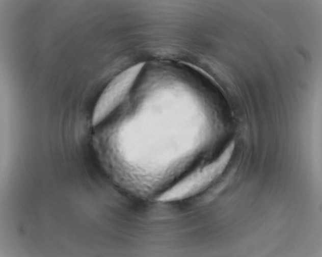 X0000113880281200910151319