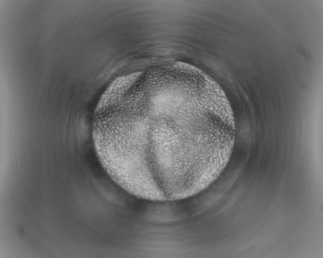 X0000113880282200910151319