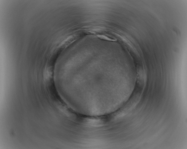 X0000113880284200910151319