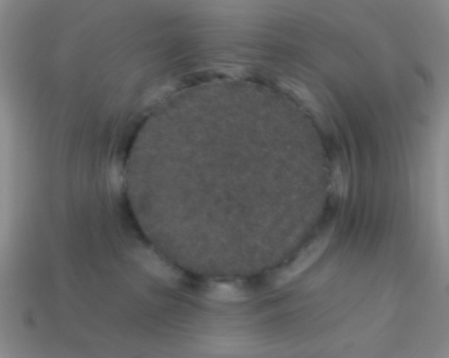 X0000113880285200910151319