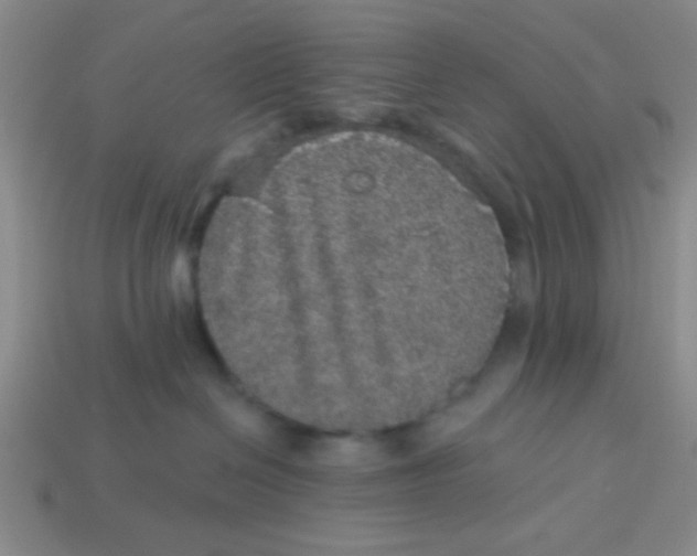 X0000113880286200910151320