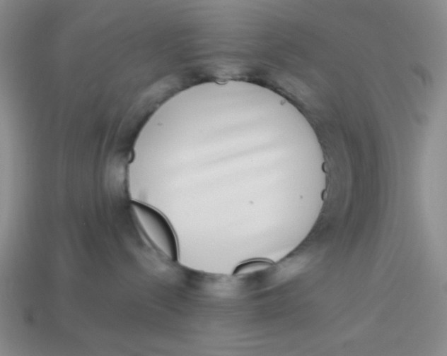 X0000113880288200910151320