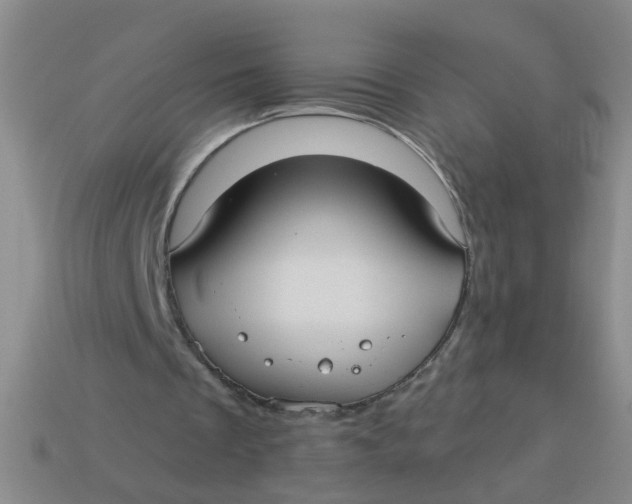 X0000113880289200910151319