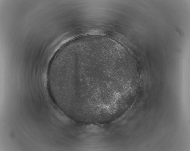 X0000113880290200910151319