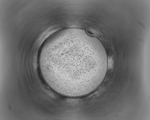 X0000113880291200910151319