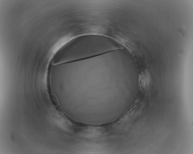 X0000113880292200910151319