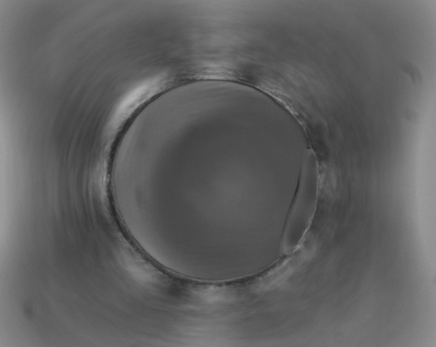 X0000113880293200910151319