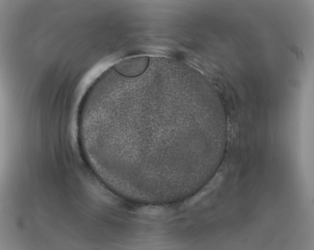 X0000113880294200910151319