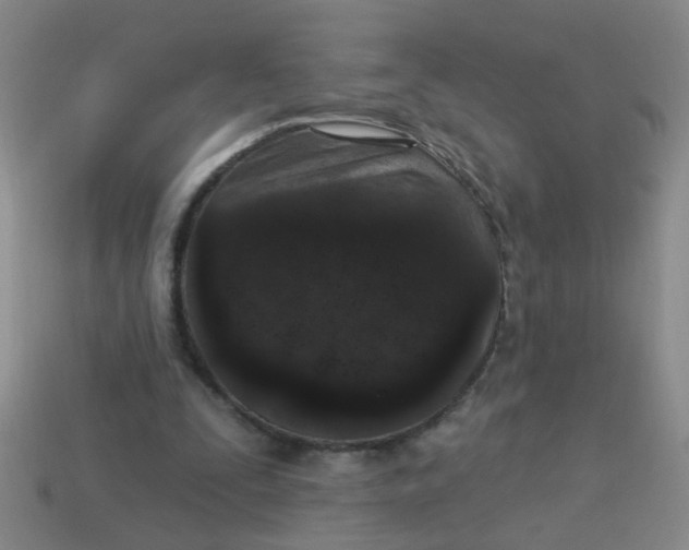 X0000113880295200910151319