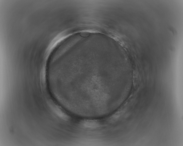 X0000113880296200910151319