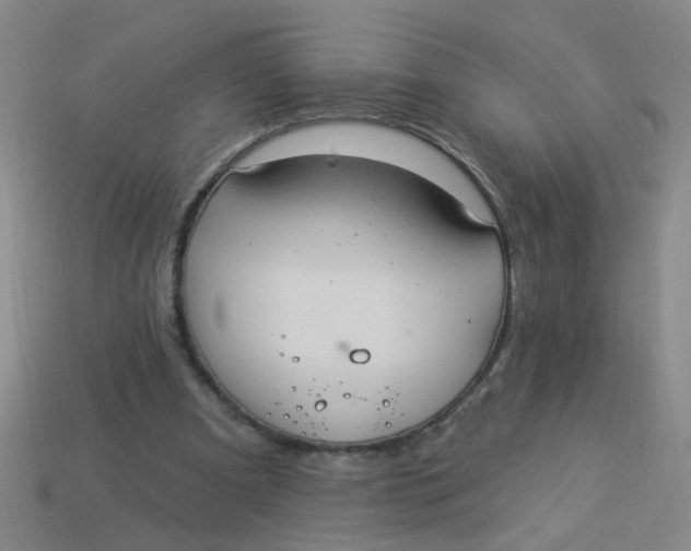 X0000113880297200910151319