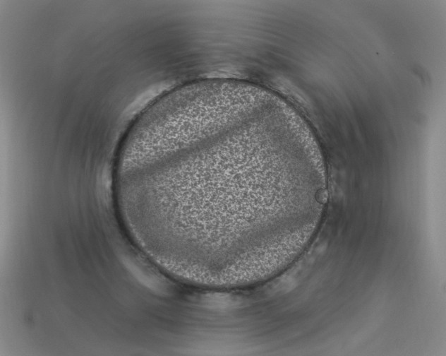 X0000113880298200910151319